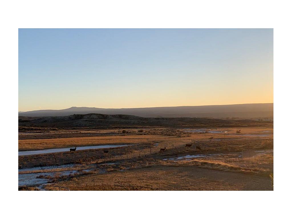 Open field with deer grazing in Colorado