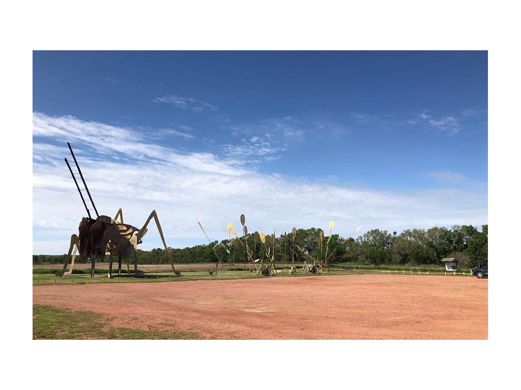 Grasshoppers in the Field sculptures