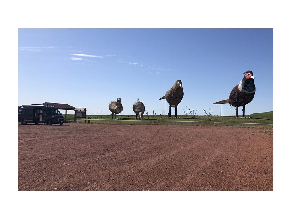 Novella, Sue's Winnebago Travato, parked next to pheasant sculptures