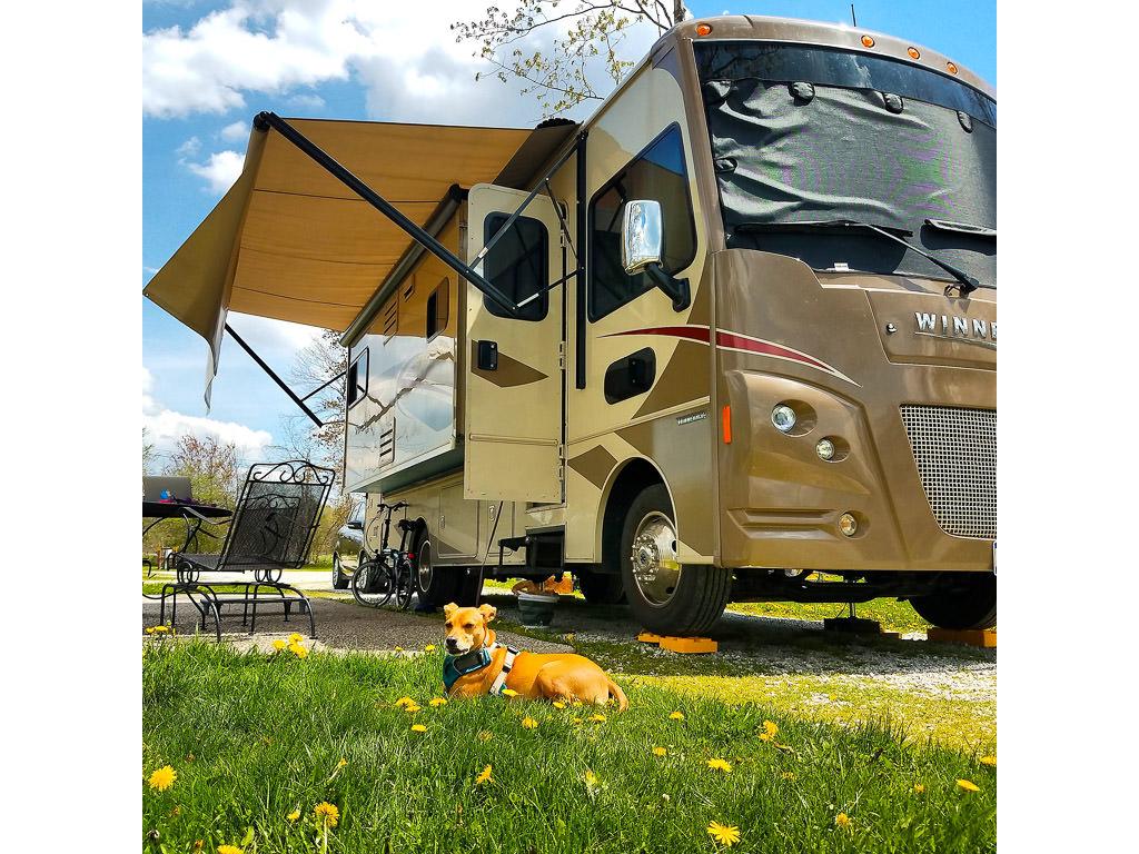 Winnebago Vista parked at KOA with Belle laying in the grass in front of the motorhome