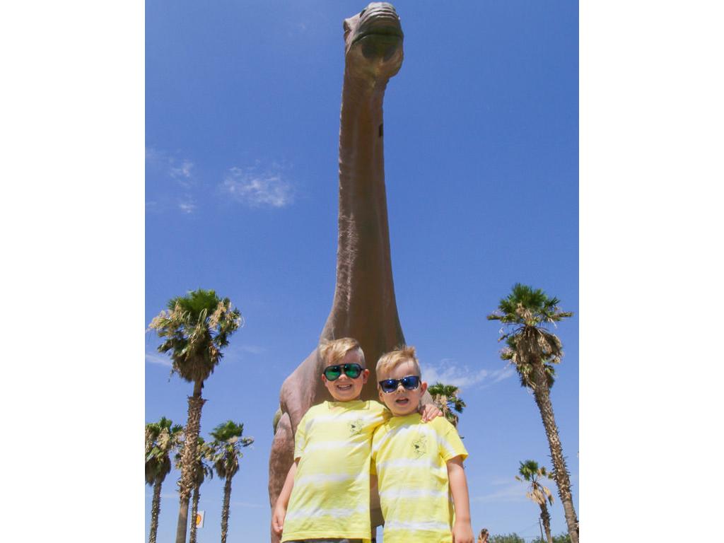The boys posing with dinosaur in background