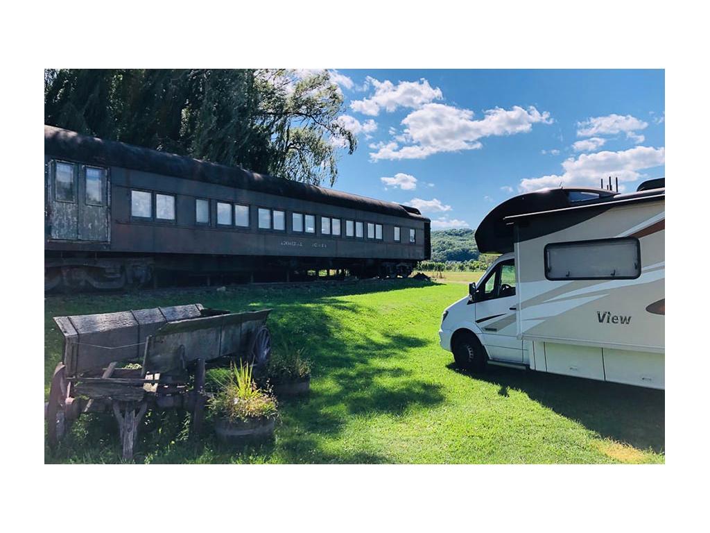 View parked on green grass in front of train