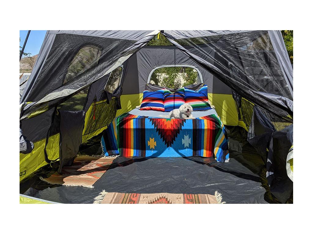 White fluffy dog laying on bed inside tent