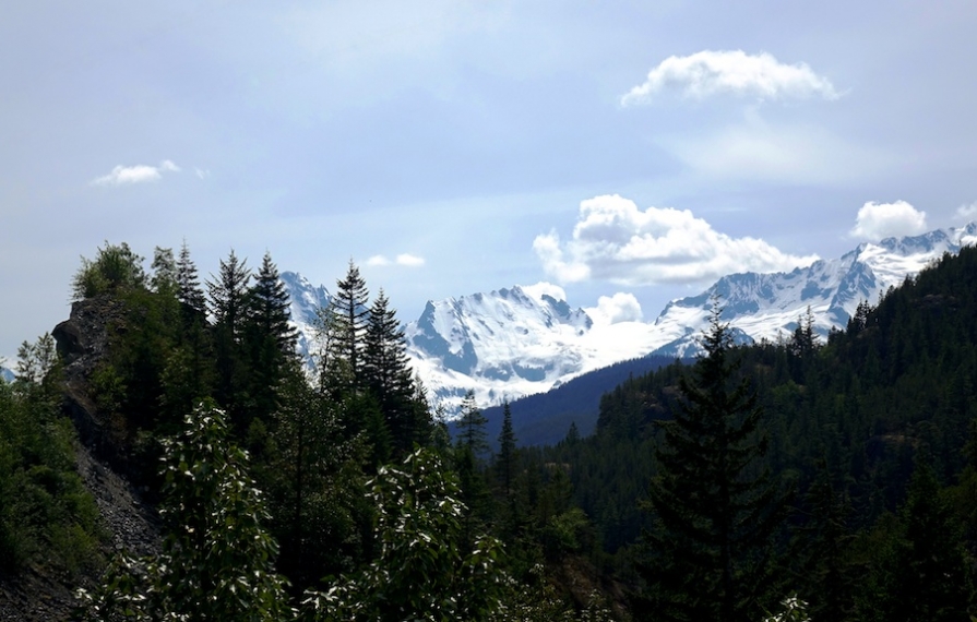 Snow capped mountains above line of trees.