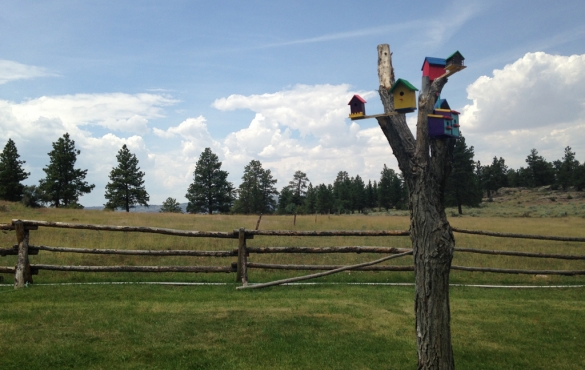 Tree stump with many colorful birdhouses resting on it.