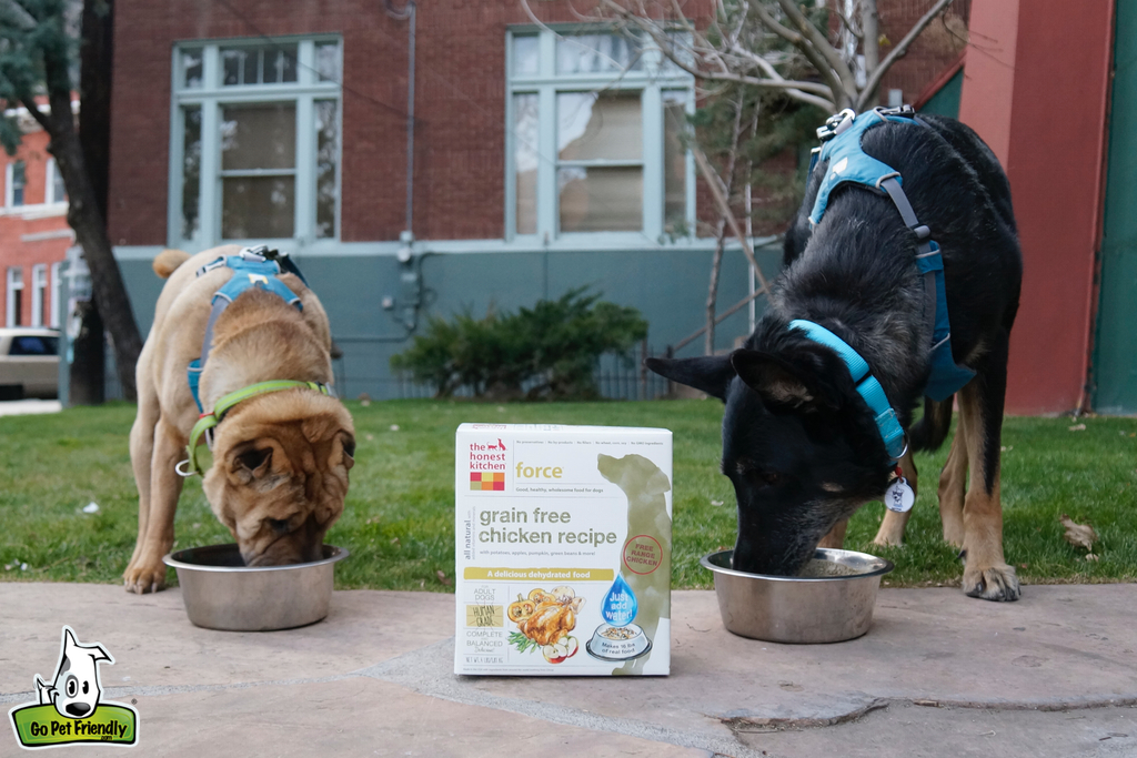 Ty and Buster eating out of bowls with box of dog food between them