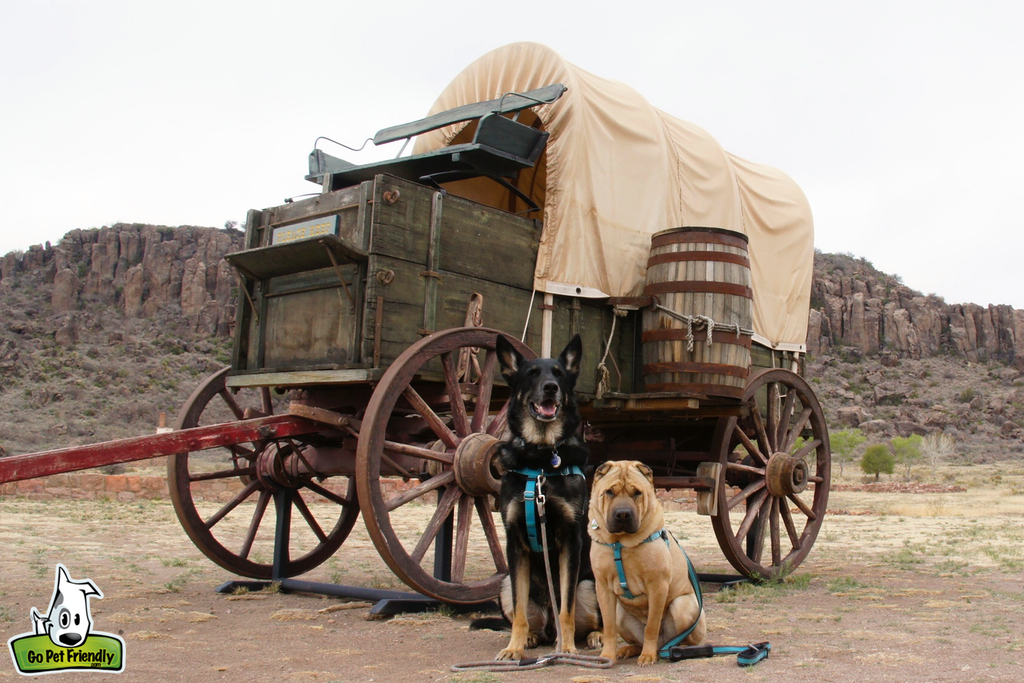 Buster and Ty sitting in front of wooden carriage