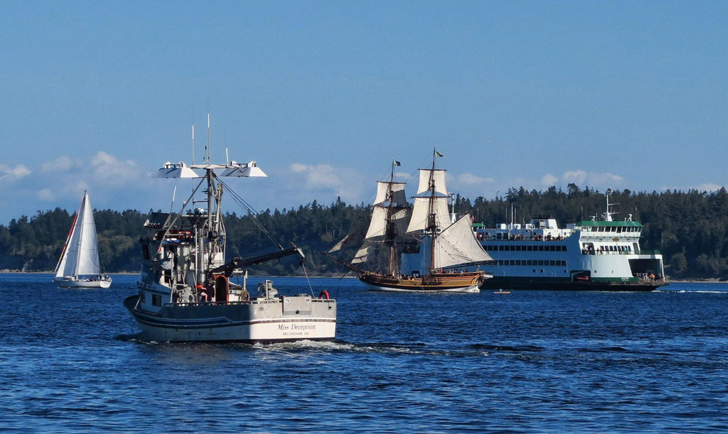 Various kinds of boats and a ferry on the water.