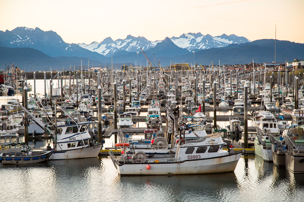 Docks lined with all types of watercraft with mountains lining the harbor.