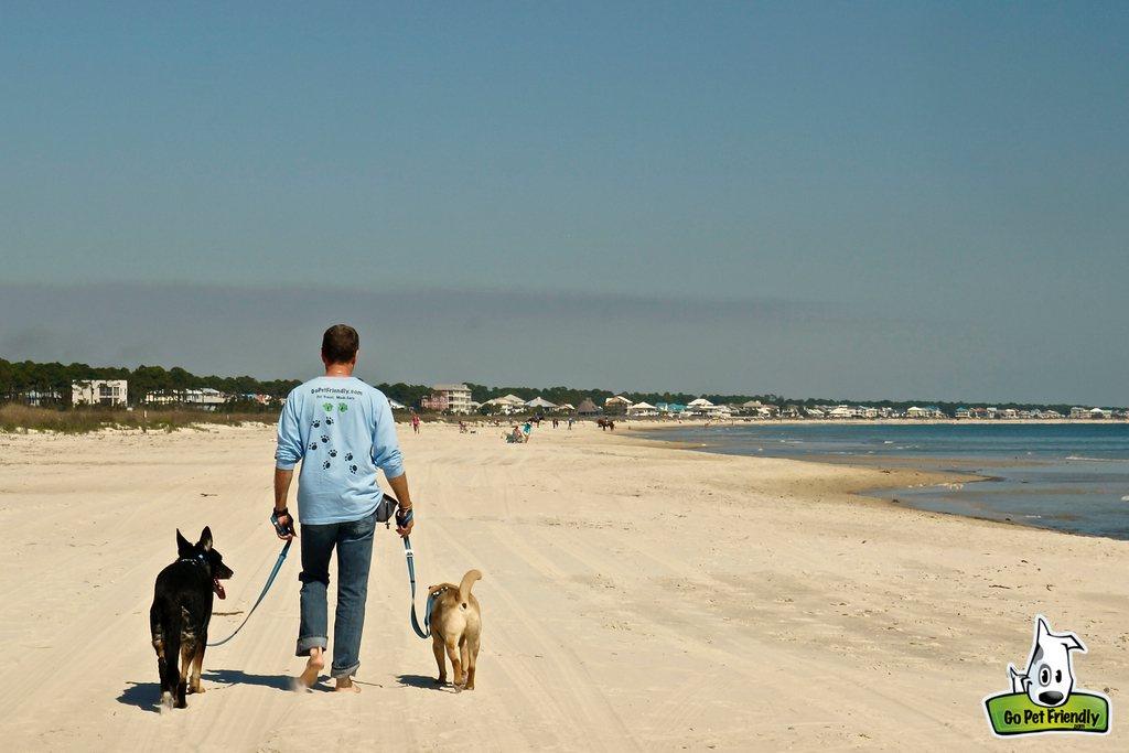 Rod walking Ty and Buster along the beach.
