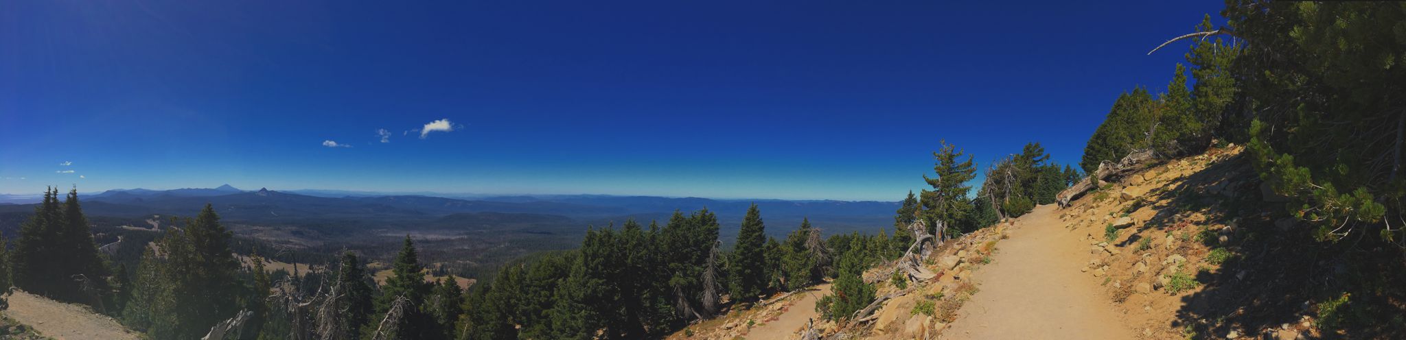 Hiking path above the trees.