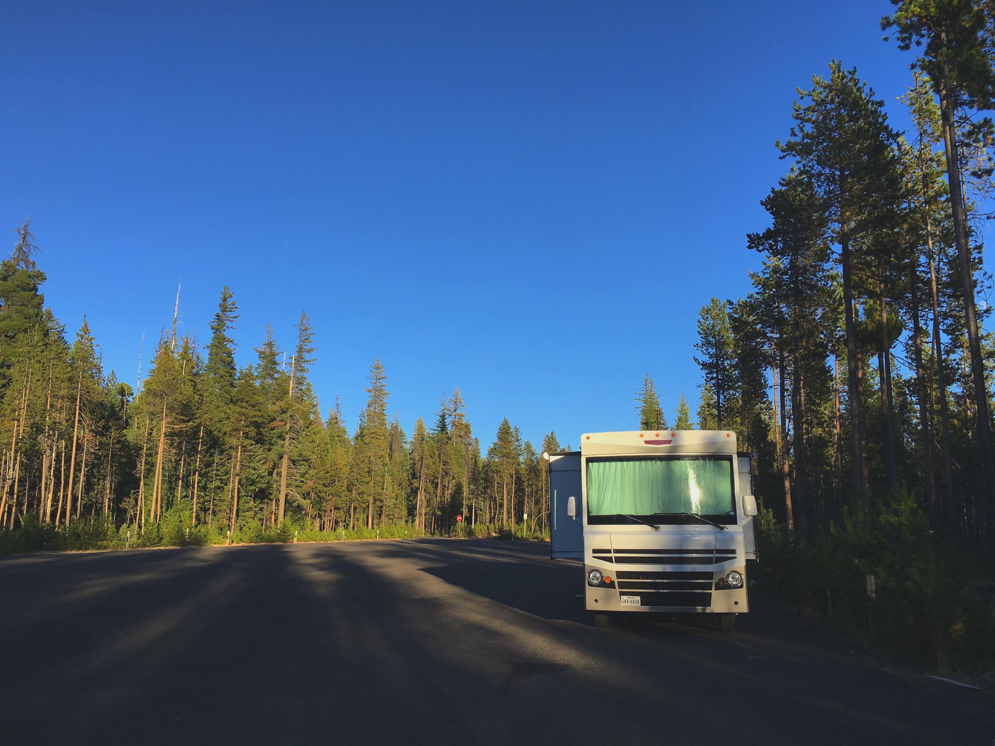 Winnebago Brave in empty parking lot surrounded by trees.