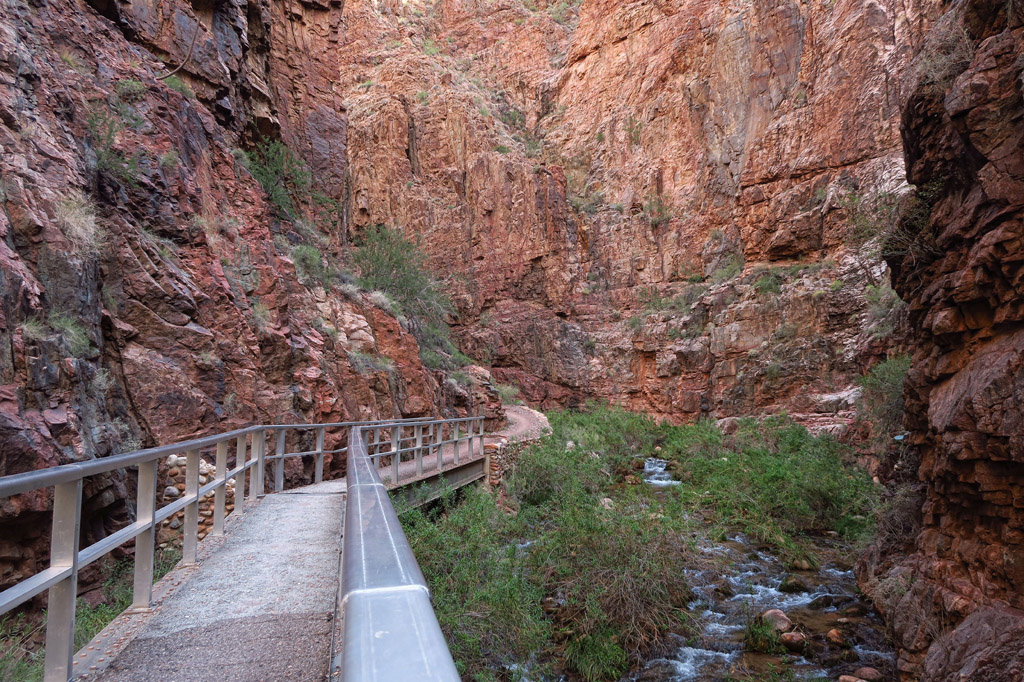 Trail following the Bright Angel Creek through gorge.