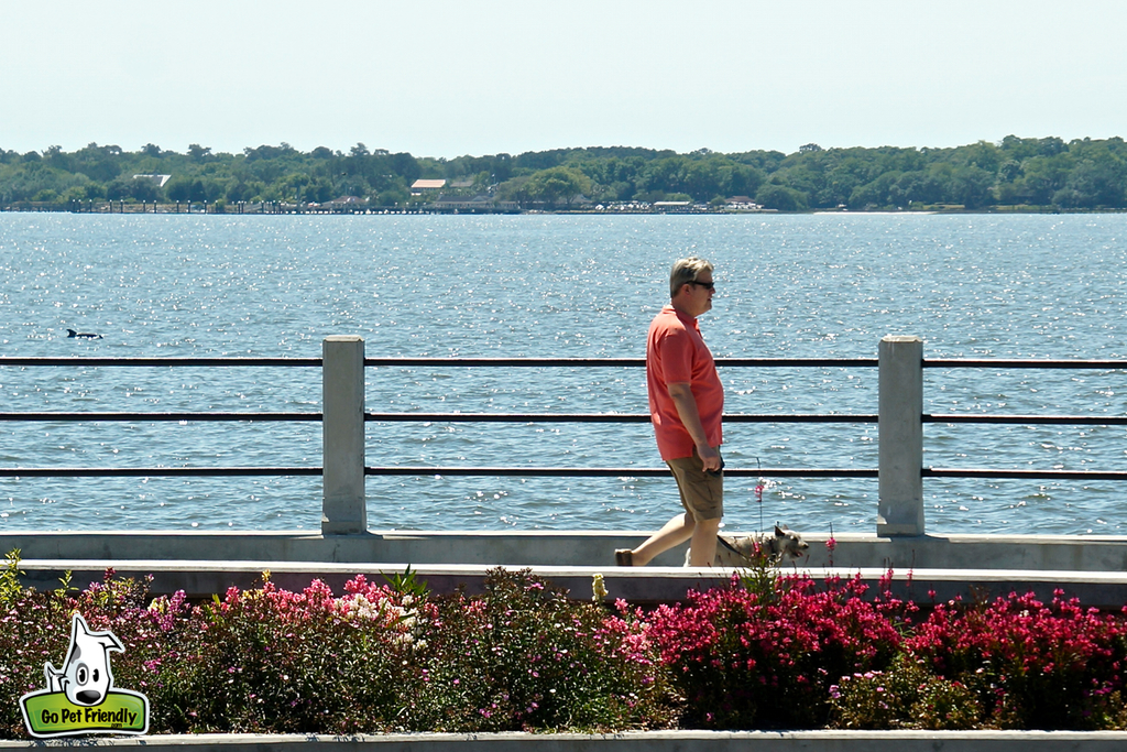 Man walking on a path along the water.