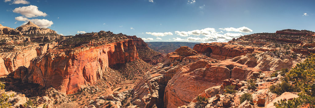Rocky canyons of Capital Reef with sparse plant life growing. 