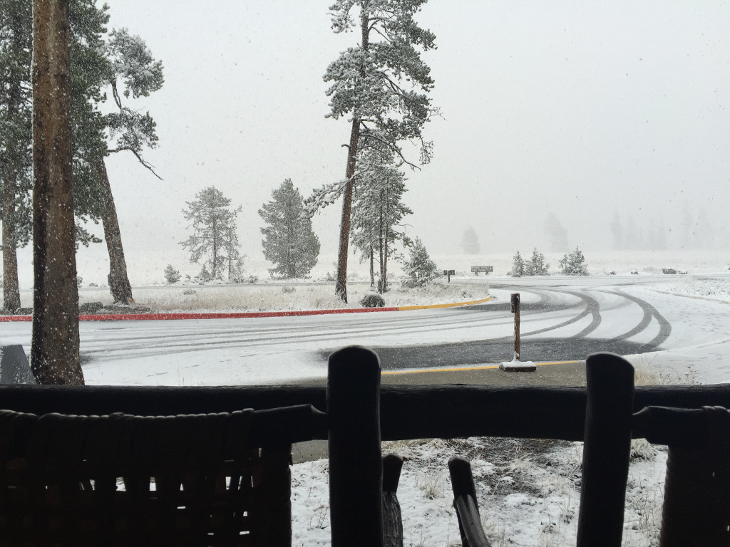 Snow covered road and trees.