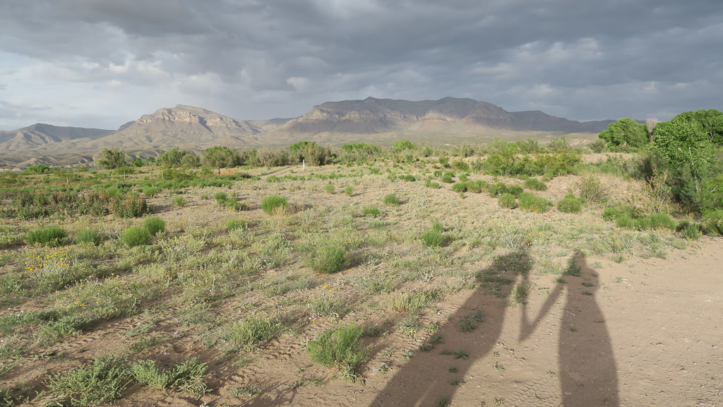 Shadow of two people holding hands with mountains ahead.