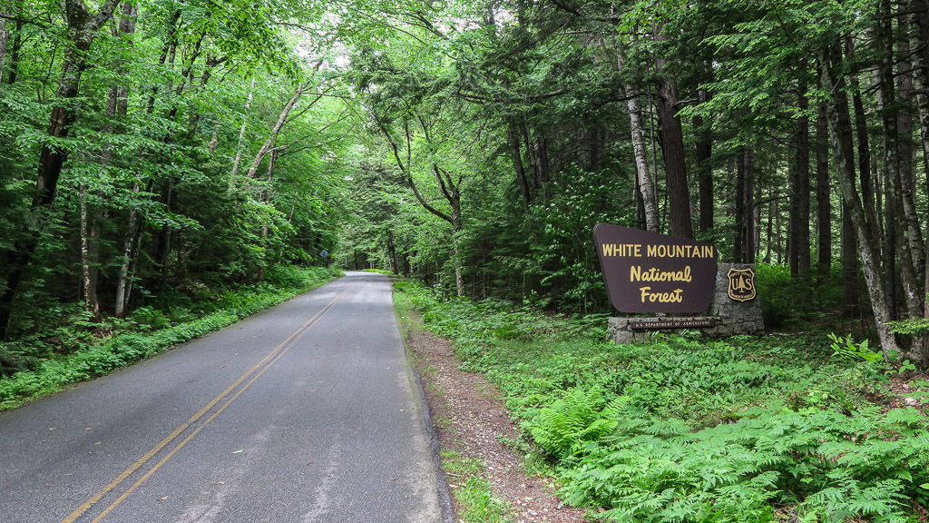 Road leading through the trees and past the White Mountain National Forest.