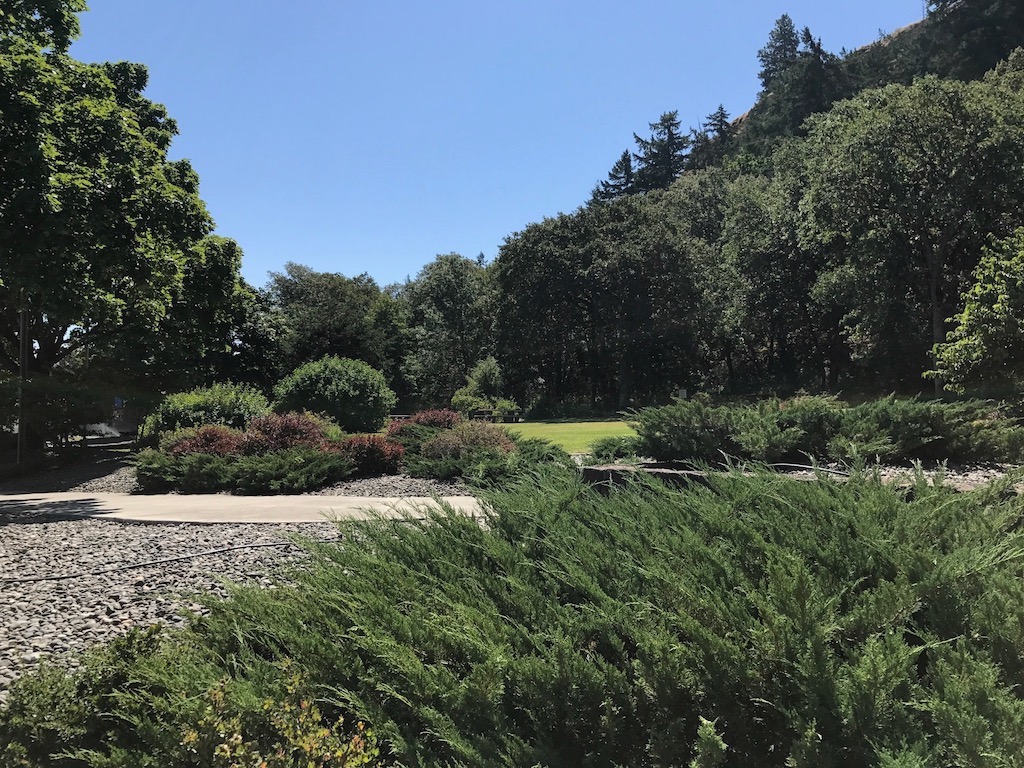 Garden area surrounded by trees.