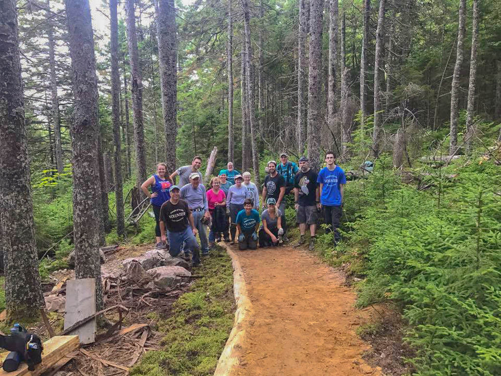 Group of people on trail among forest of trees.