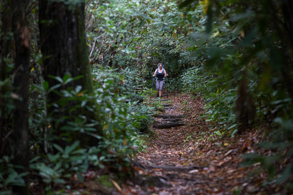 Kathy hiking along the path with trees surrounding her.