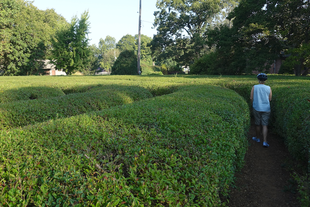 Woman walking through labyrinth made of green hedges