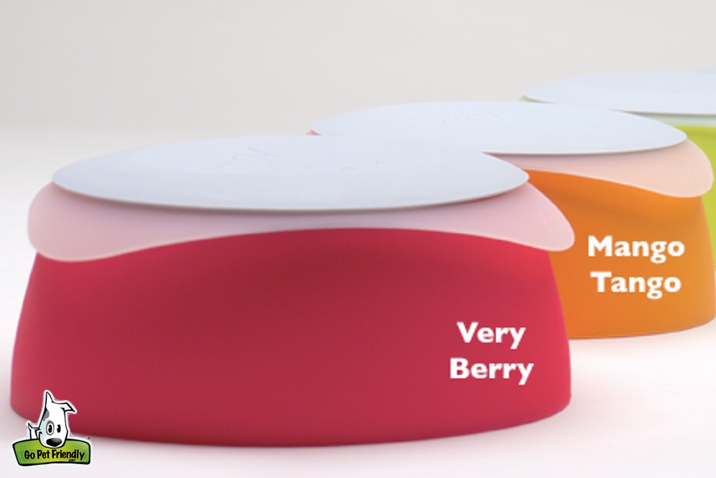 Very Berry and Mango Tango Yummy Bowl