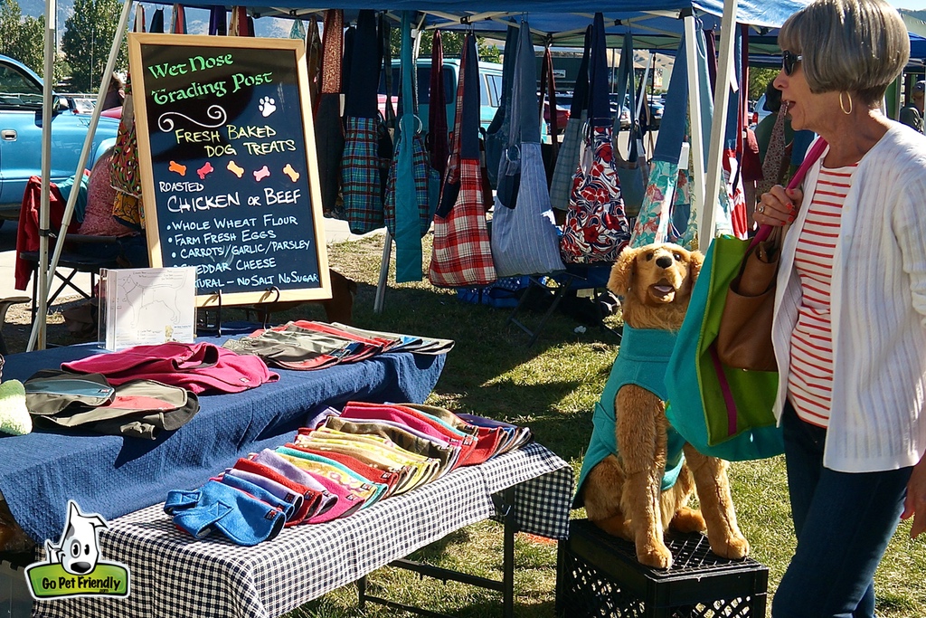 Woman looking at booth at a Farmer's market