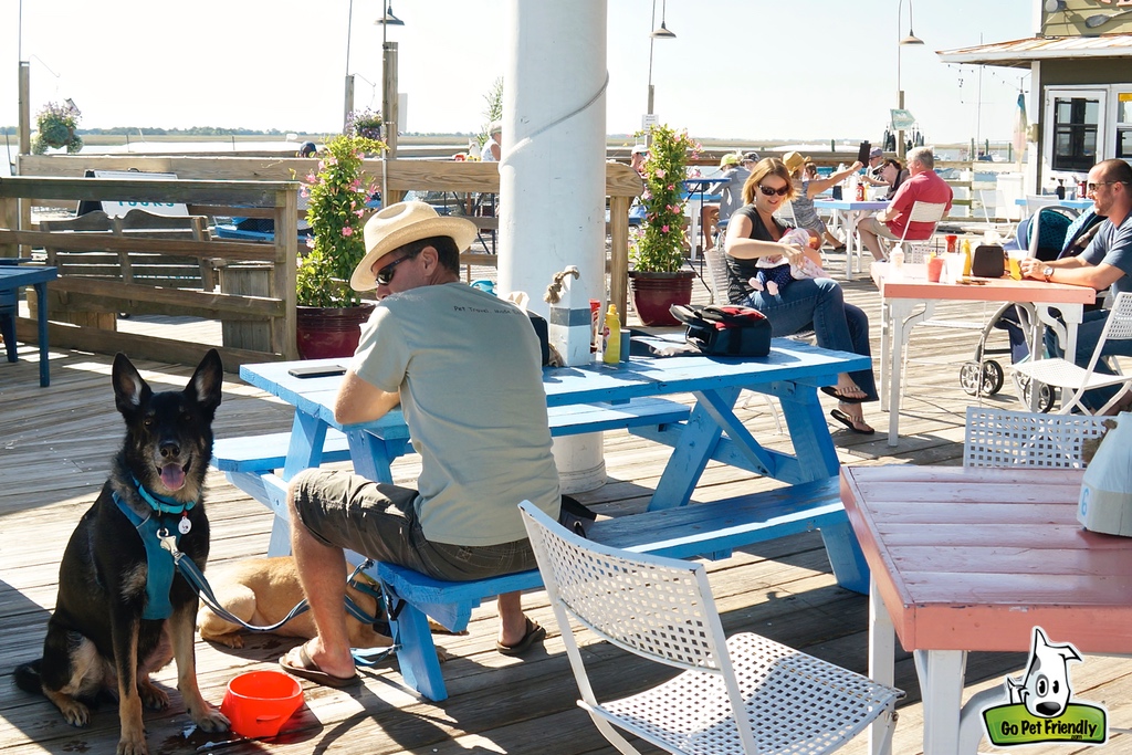 People and pets on patio of restaurant