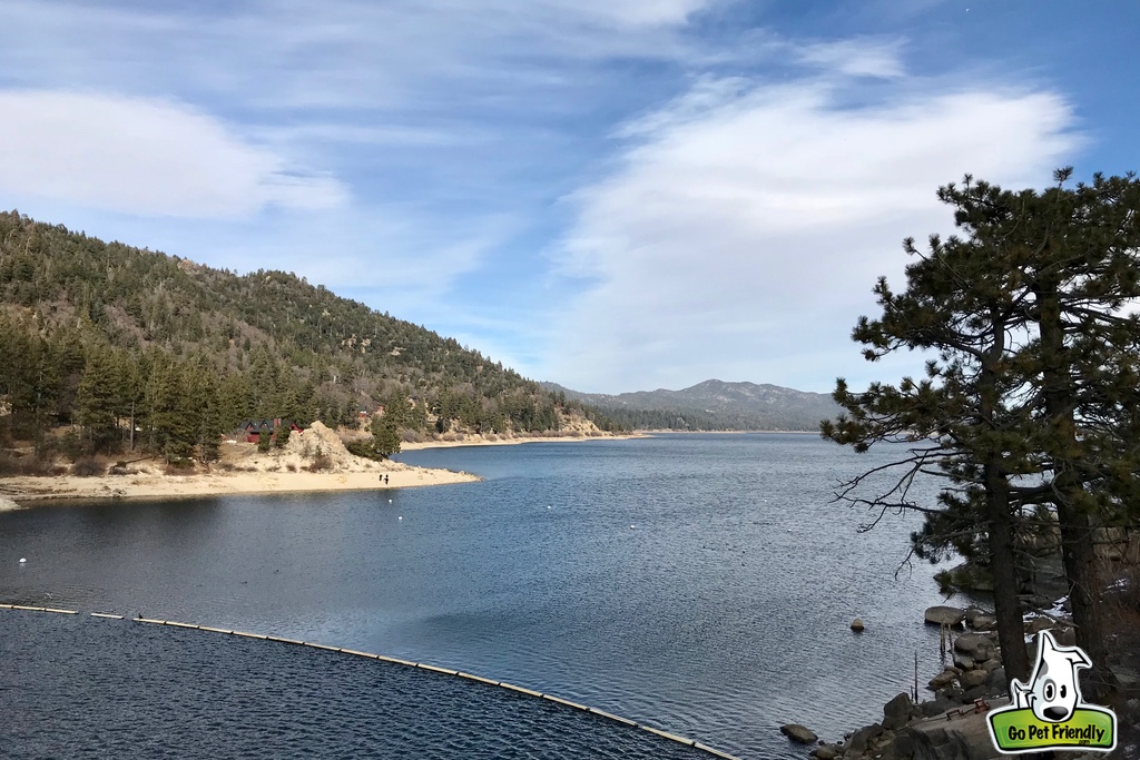 Big Bear tree filled hills and water