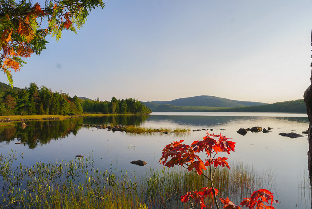 Trees changing color surrounding body of water