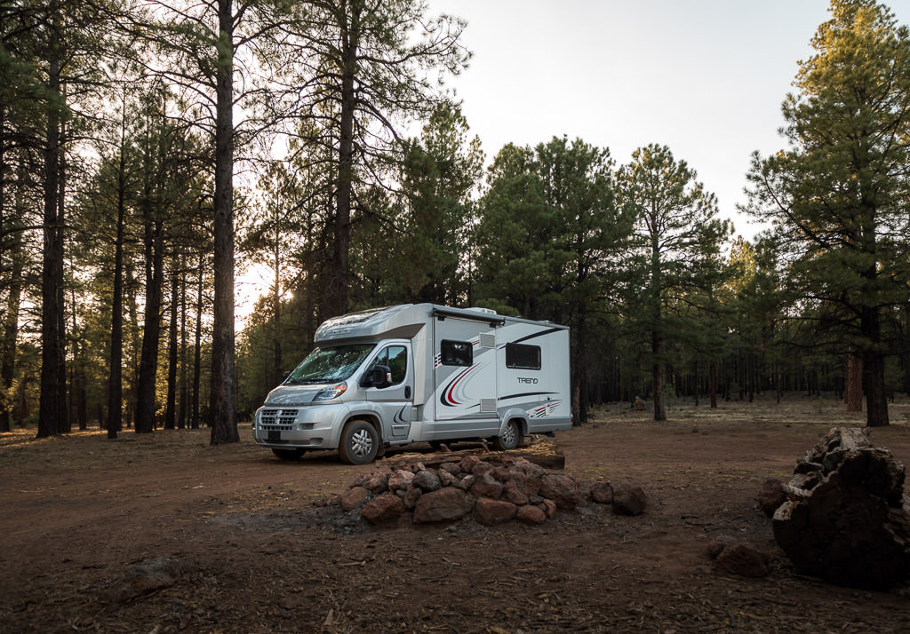 Winnebago Trend parked beneath trees