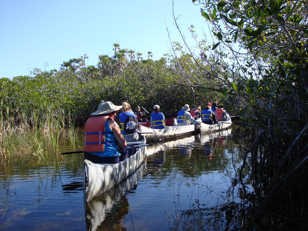 Canoe caravan going through the swap.