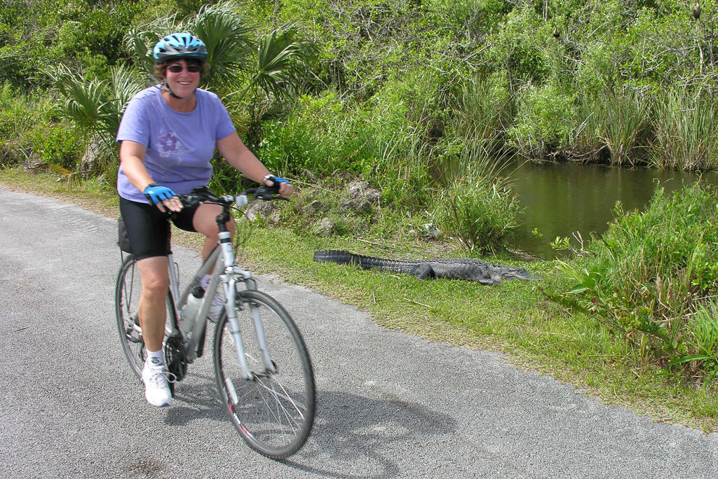 Woman on bike riding past alligator a few feet off the trail.