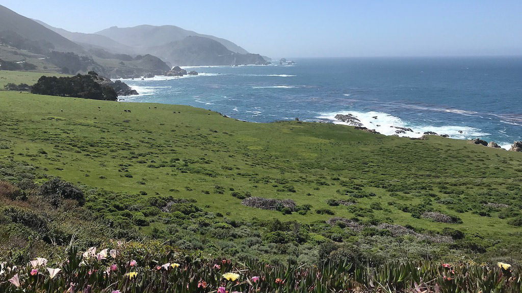 Rolling green hillsides next to ocean