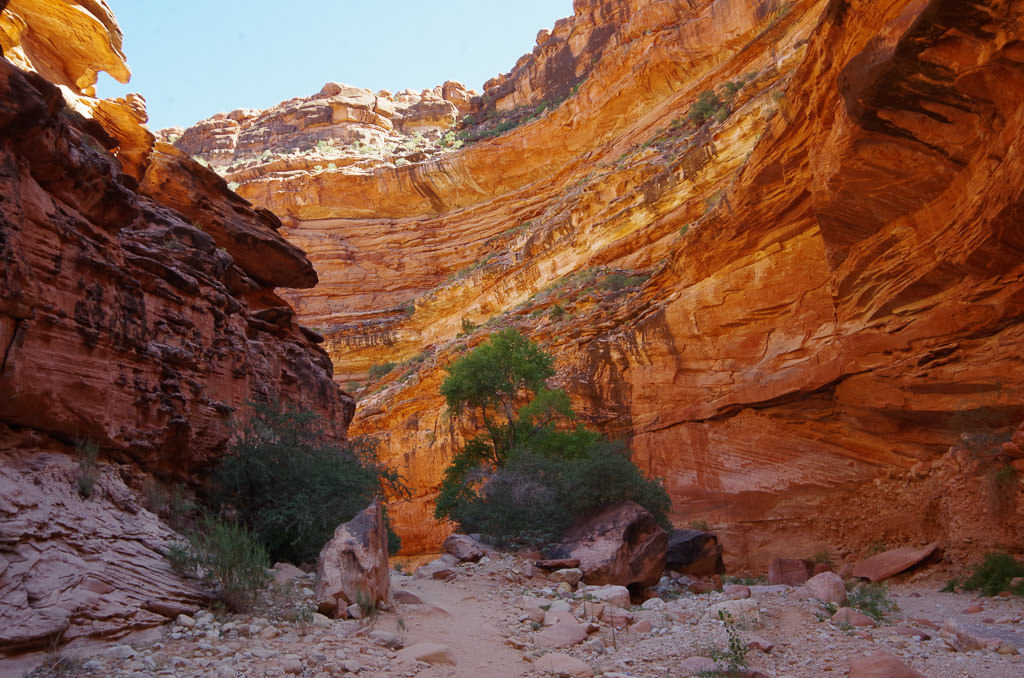 Havasu Falls hike 