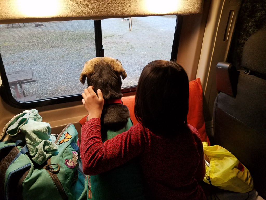Girl and dog looking out the Travato window