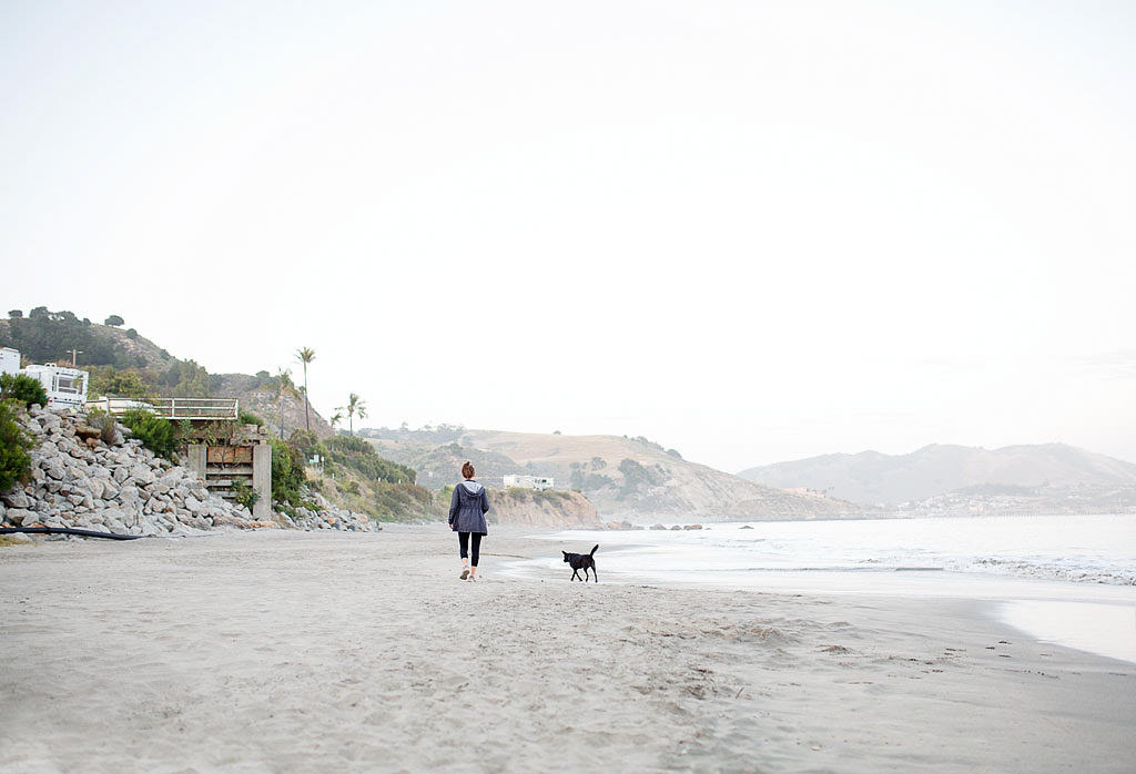 Brittany with their dog walking along a sandy beach
