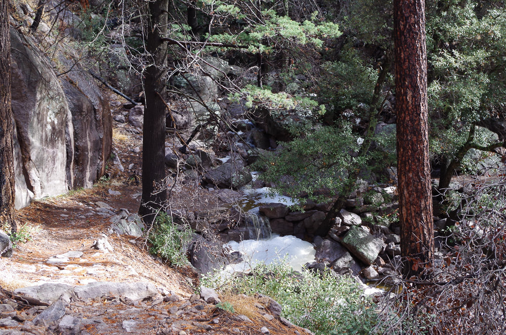 Natural spring flowing through the rocky and tree covered landscape.