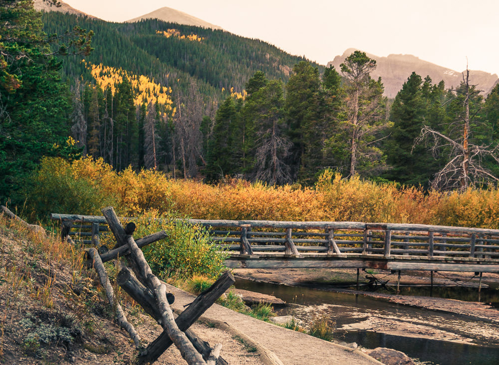 Bridge going over stream with evergreens going up the side of the mountain.