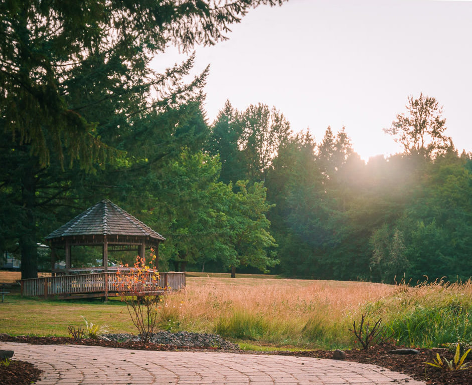 Wooden gazebo in a field next to line of trees.