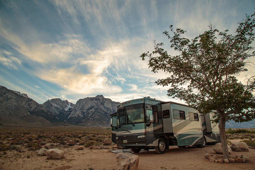 Journey sitting under tree with mountains in background