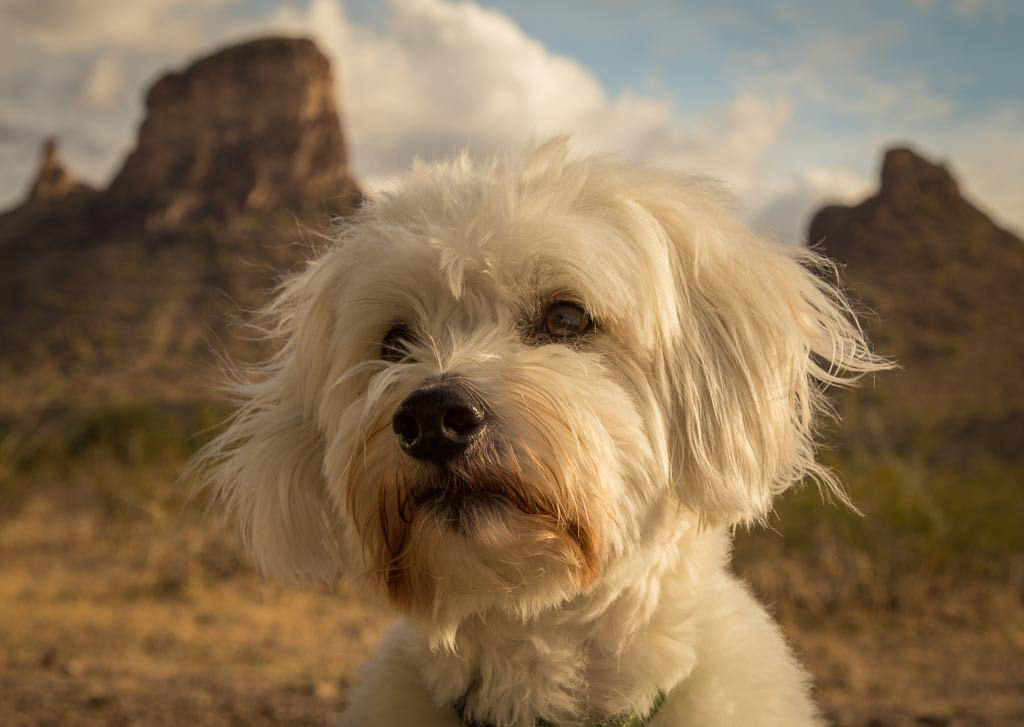 Crosby with mountains in background