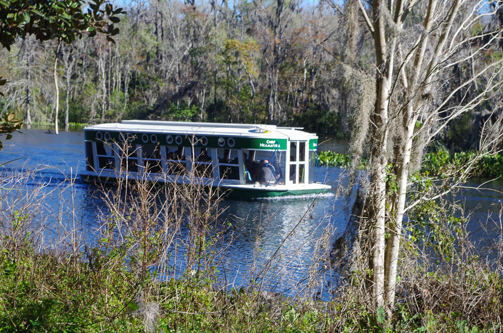 Boat ride down along the water at Silver Springs.