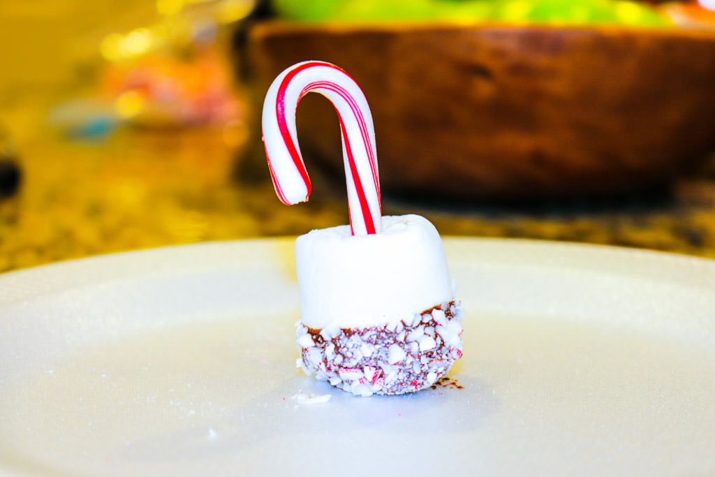 Marshmallow Cane Hot Cocoa Stirrers