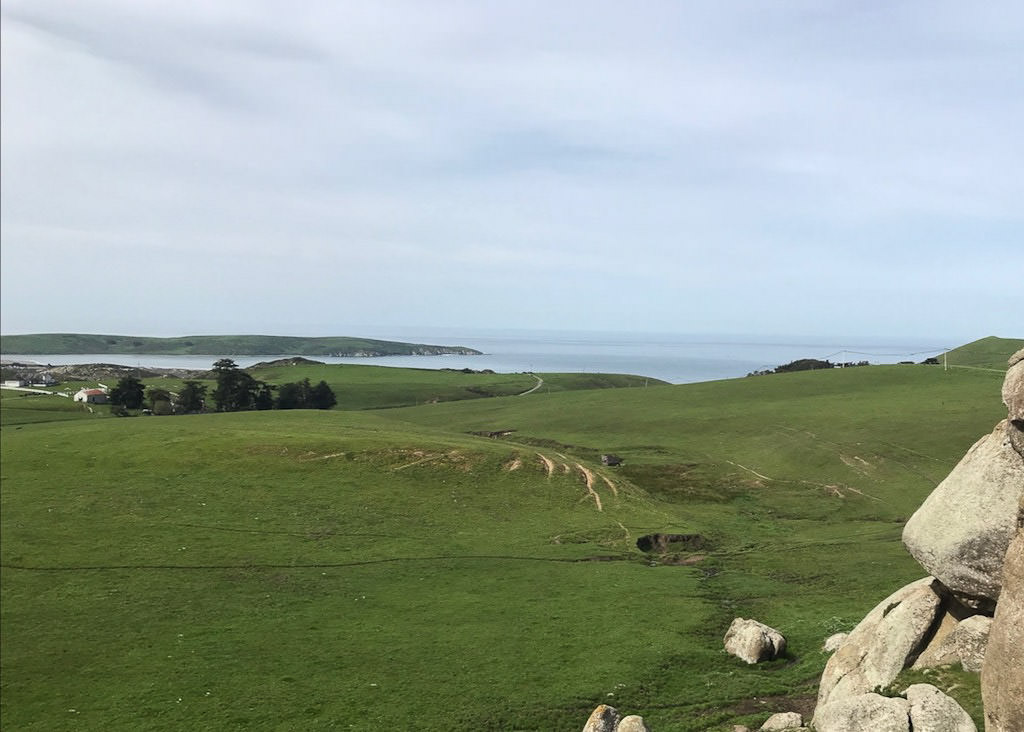 Open, green low rolling hills along the water. 