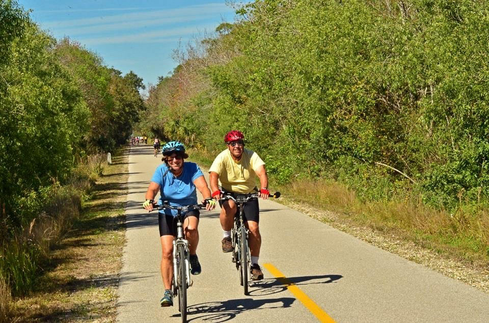 Couple riding along bike path lined with trees.