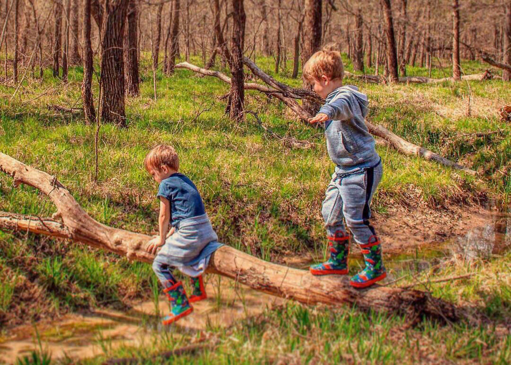 Farish boys crossing river using fallen tree