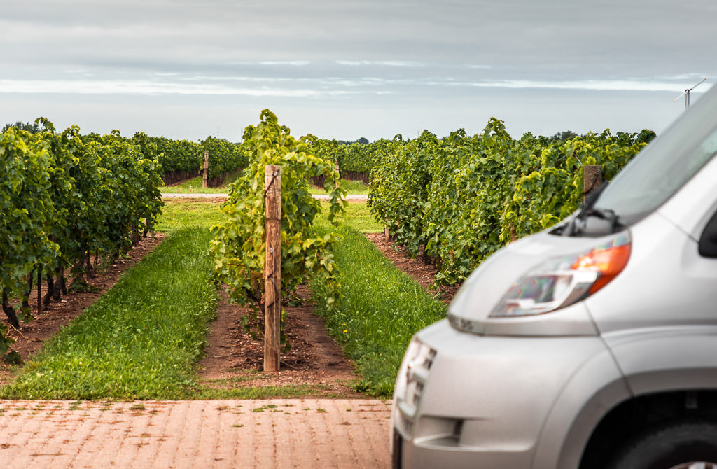 Front of an RV with view of rows of grapevines.