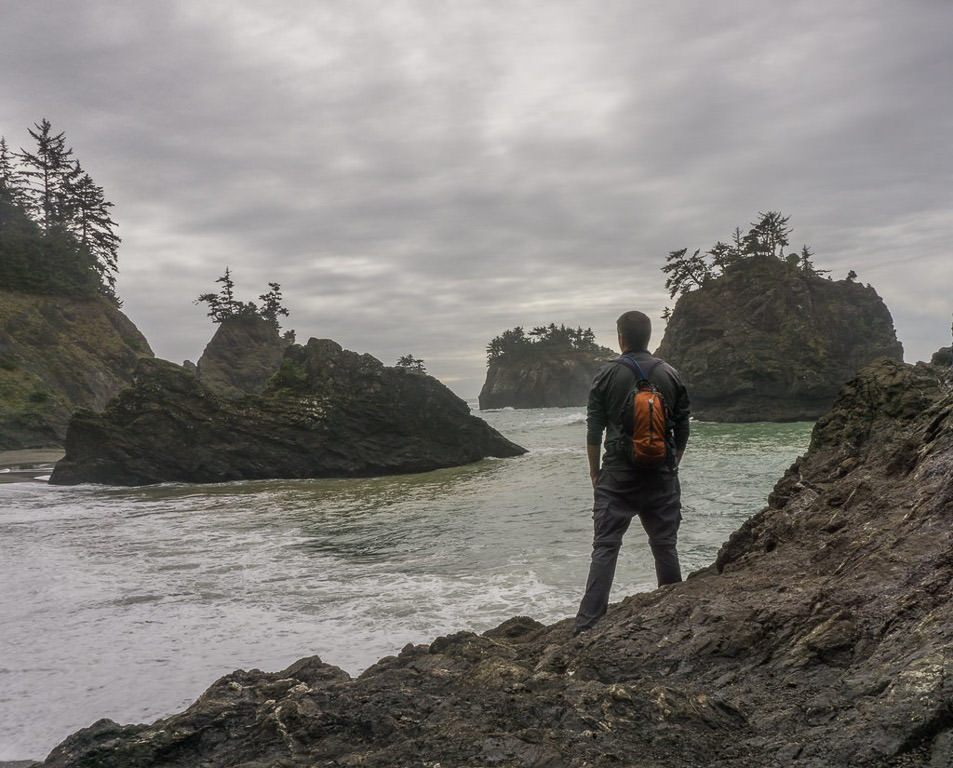 Man looking out over unique rock formations in the water with trees on top of them.